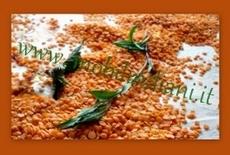 Ricette etniche